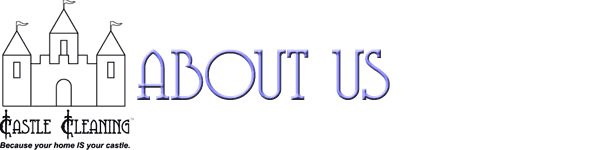 Castle Cleaning - About Us